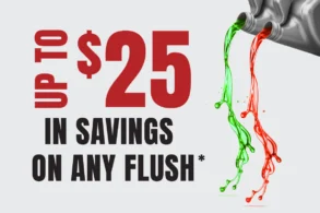 ANY FLUSH